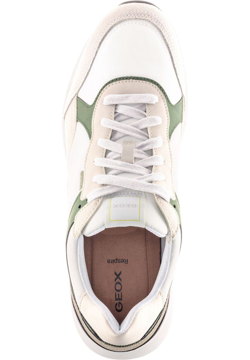 GEOX Sneaker, für Herren, weiß|grün, 43