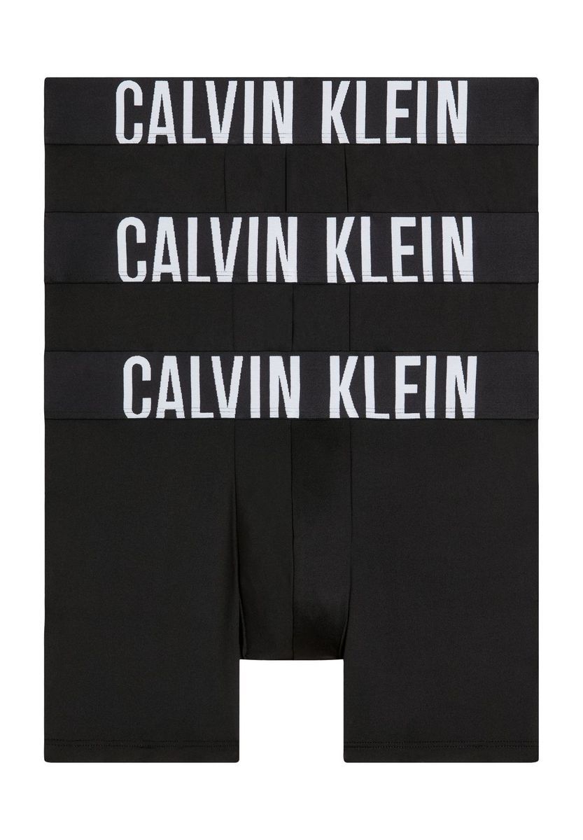 Herren Boxer Briefs mit Logo-Bund