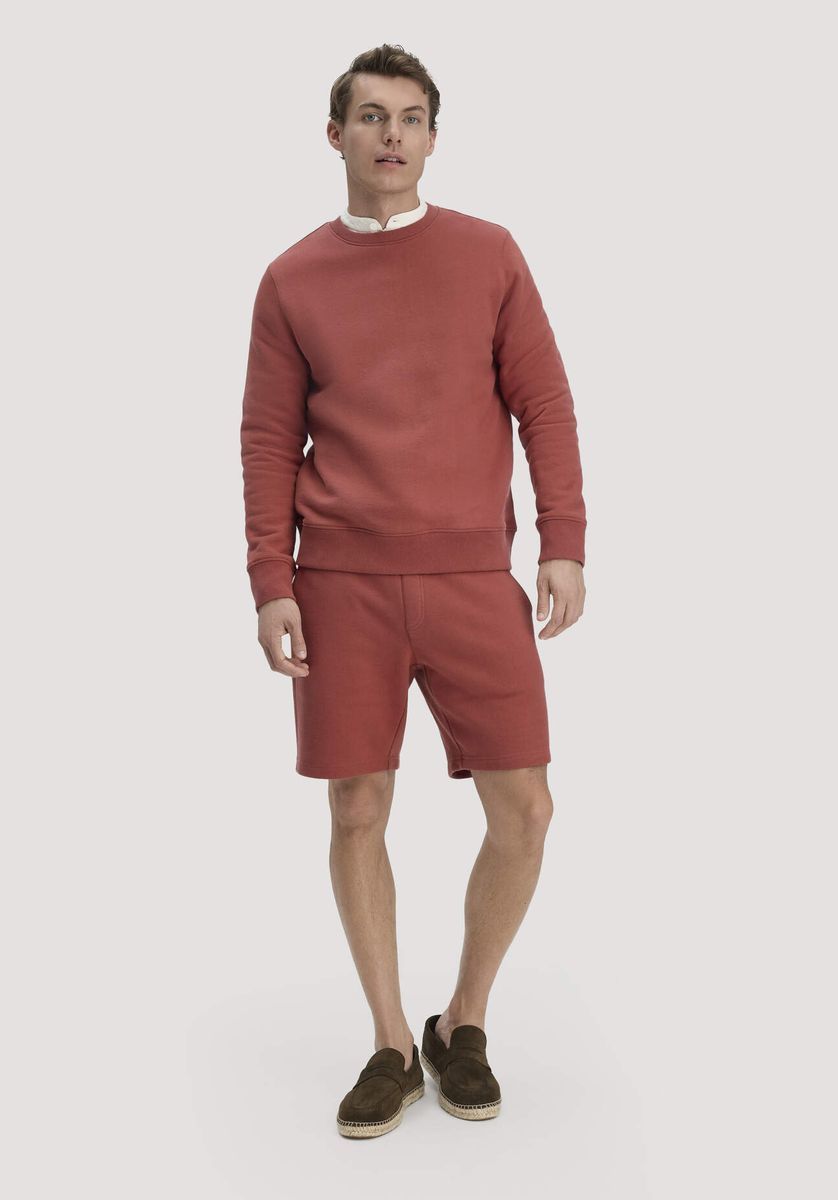 hessnatur Herren Sweatshirt Regular BETTERRECYCLING aus Bio-Baumwolle - braun - Größe L