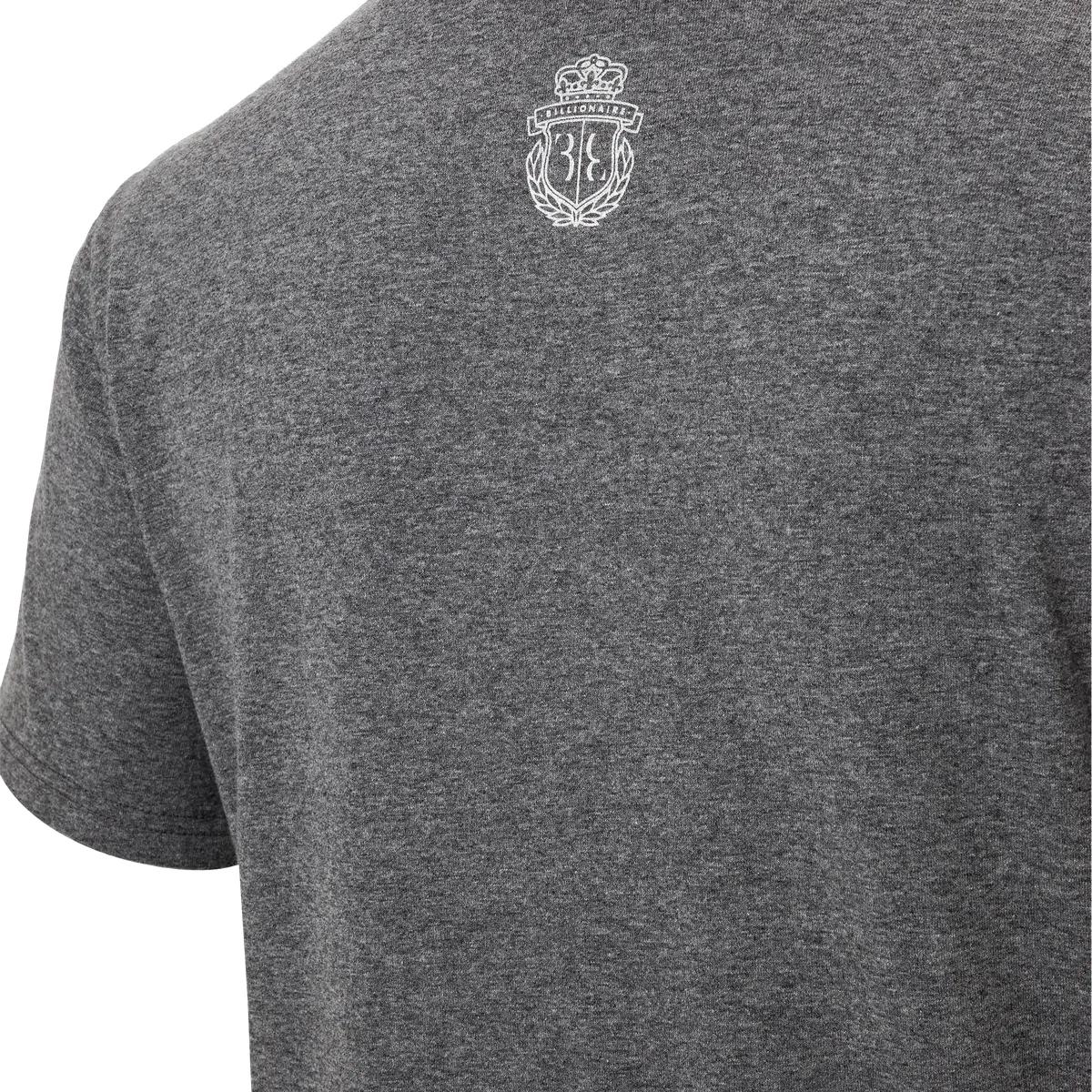 T-Shirt mit Löwen-Grafik und V-Ausschnitt