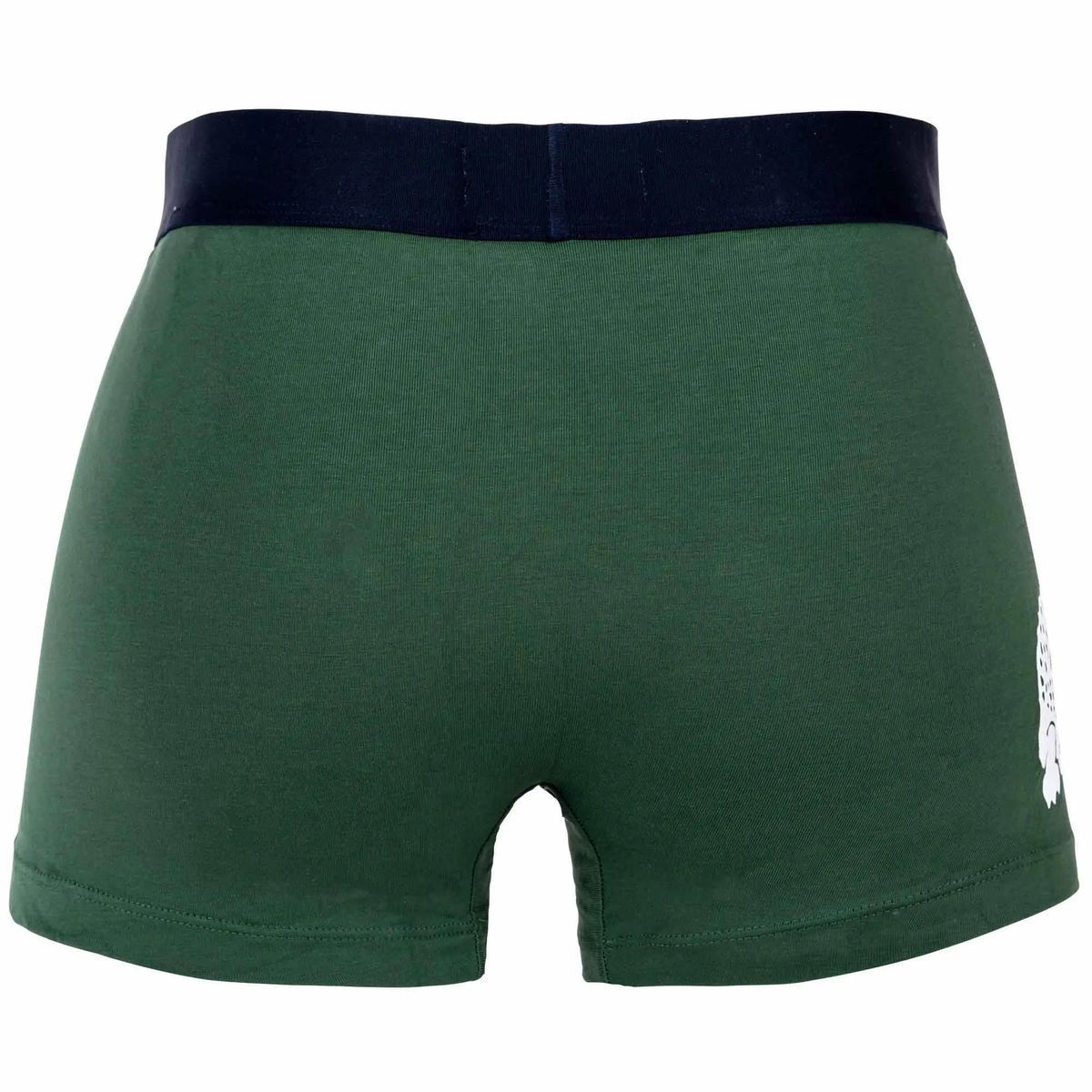Klassische Logo Trunk Boxer Briefs