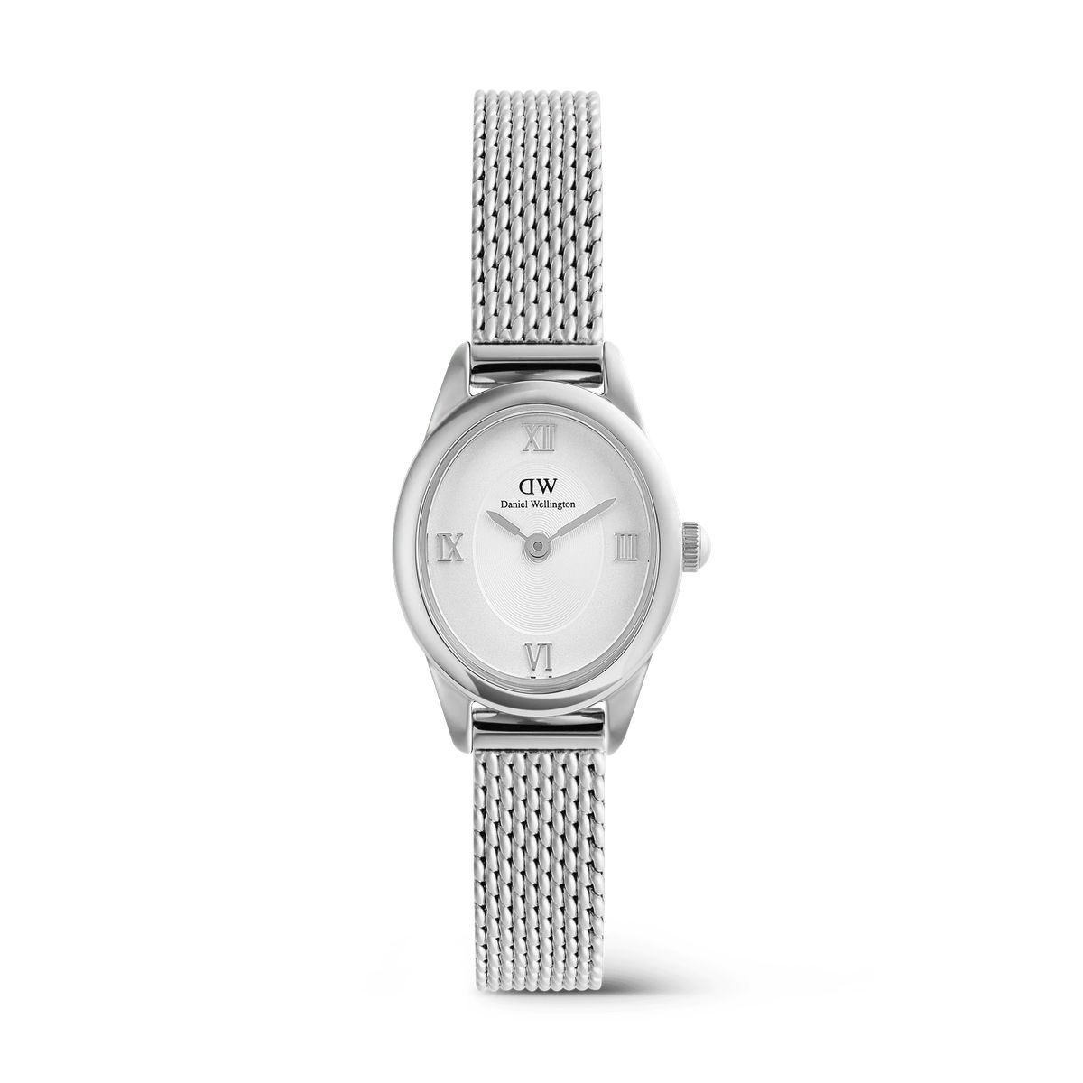 Minimalistische silberne Mesh Petite Uhr