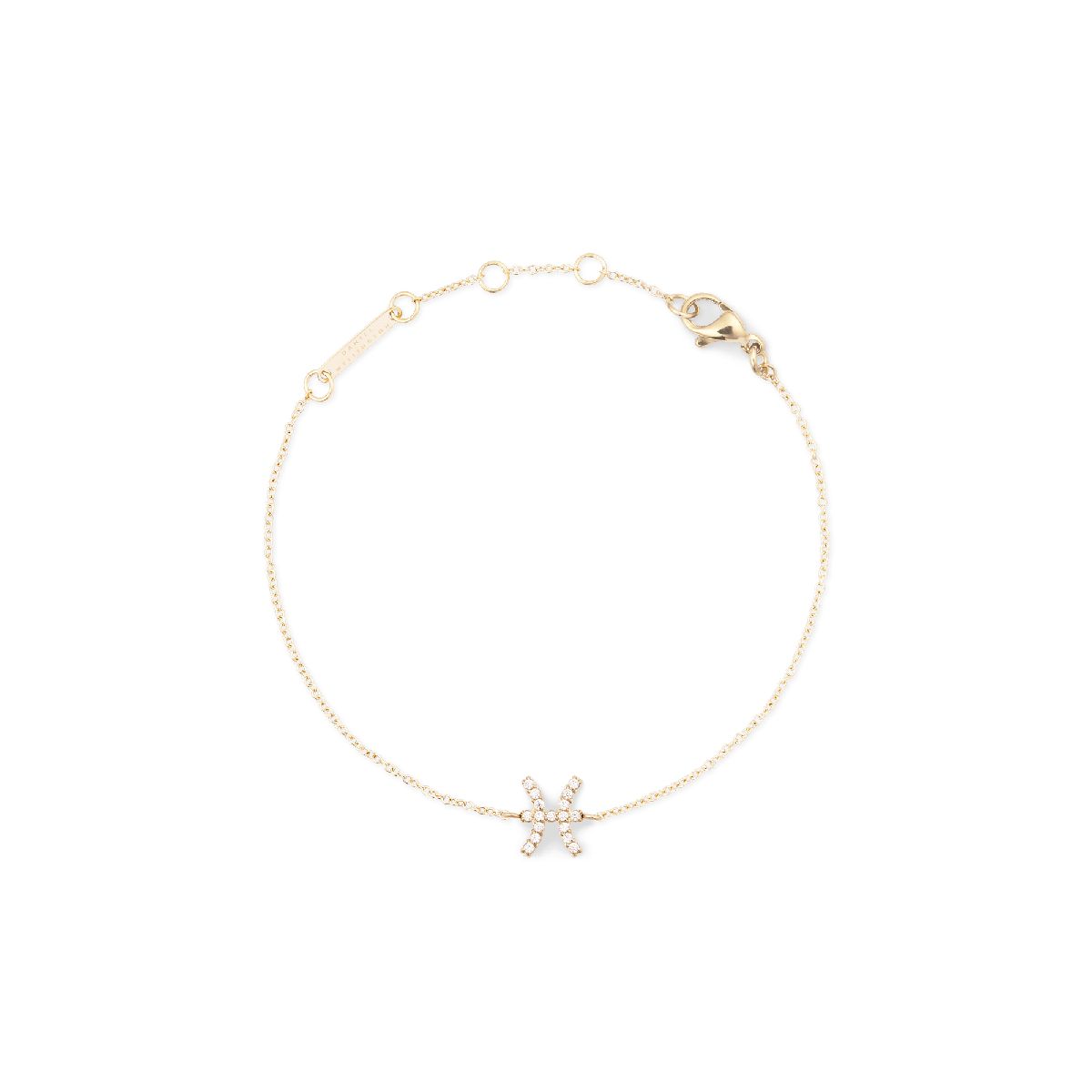 Goldenes Fische-Sternzeichen-Charm-Armband