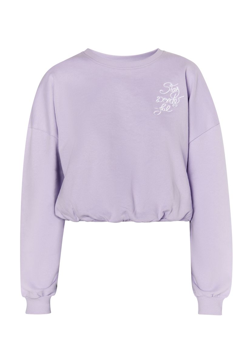 Kurzes Sweatshirt mit Grafik-Stickerei