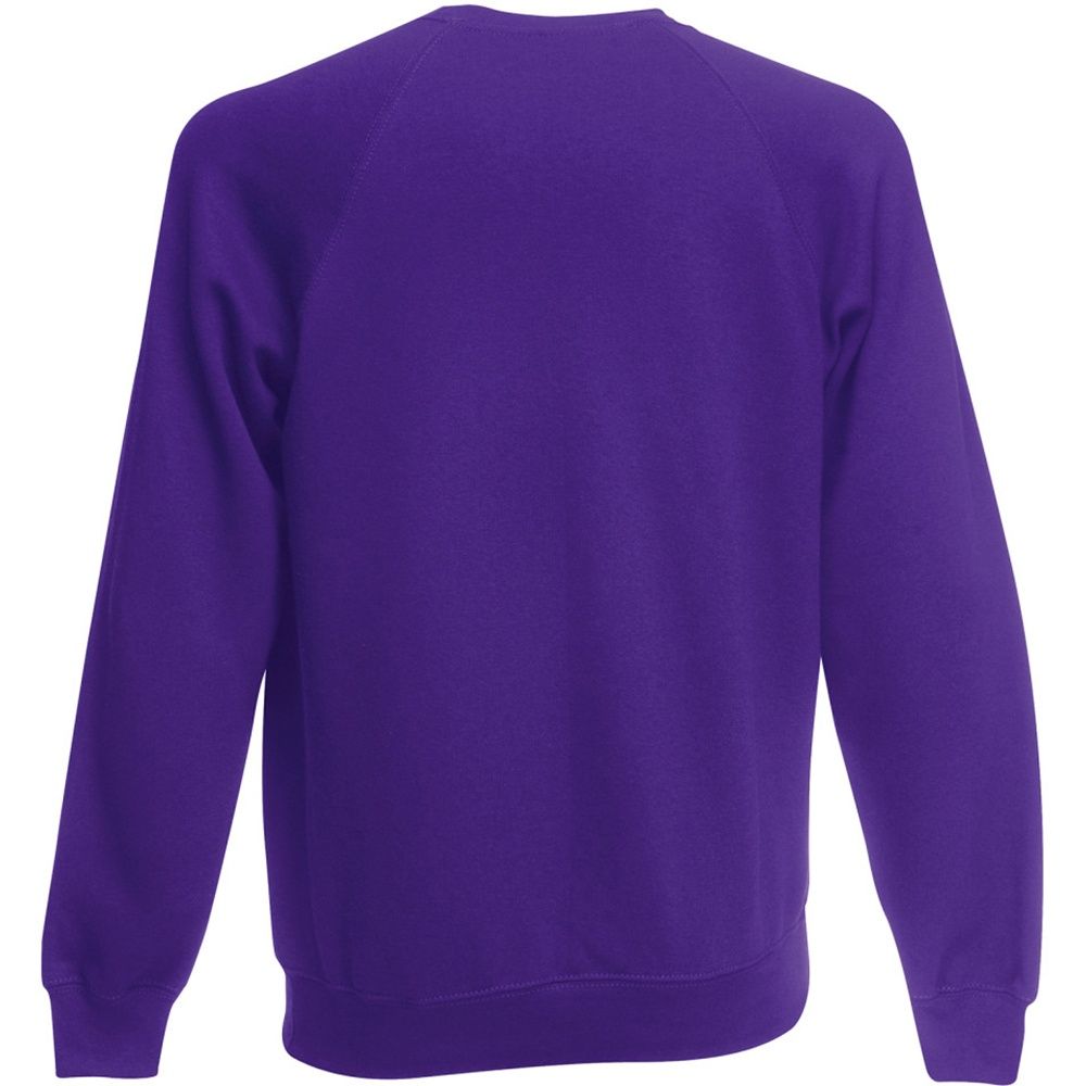 Sweatshirt mit Raglanärmeln und Rundhalsausschnitt