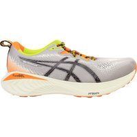 Asics Gel-Cumulus 25 TR Laufschuh