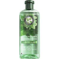 Pflegeshampoo Minze 350 ml