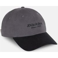 Dickies Everyday Dickies Twill Baumwolle Unisex Erwachsene Graue Baseballmützen