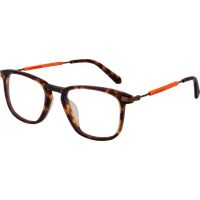 Funky Buddha Brillenfassung FBD1016 004 51