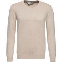Klassischer Herren Baumwollpullover mit V-Ausschnitt