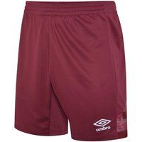 Leichte atmungsaktive Herren Sportshorts