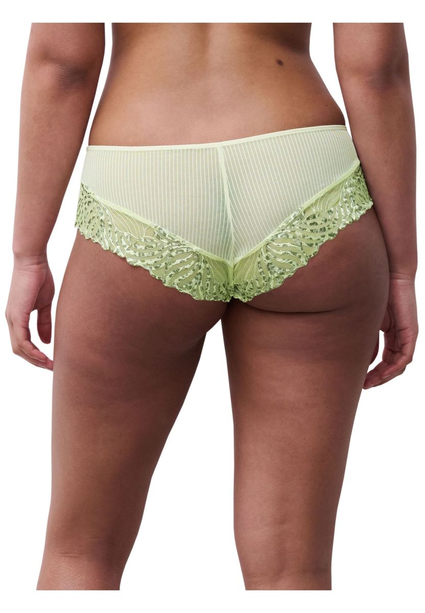 Bikini-Slip mit floraler Spitze