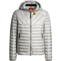 Silberne leichte Daunenjacke mit Kapuze