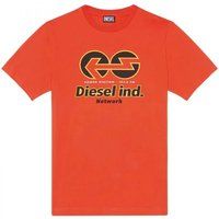 T-Shirt aus Baumwolljersey mit Grafikdruck