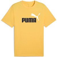 Herren T-Shirt mit Grafik-Logo