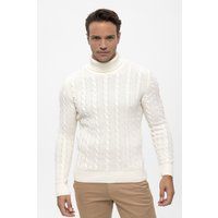Herren Rollkragenpullover mit Zopfmuster