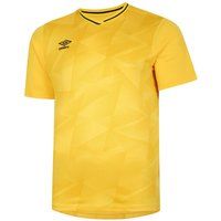 Herren Kurzarm Fußballtrikot
