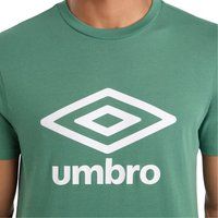 Herren Kurzarm Logo T-Shirt
