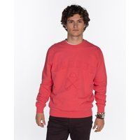 Baumwoll-Sweatshirt mit Logo und Rundhalsausschnitt