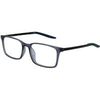 Blaue Plastikbrille (Gestelle)