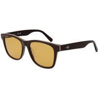 Braune Acetat-Sonnenbrille
