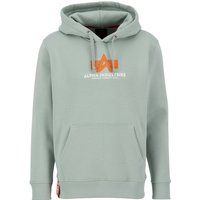 Basic Logo Kapuzenpullover