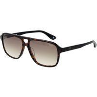 Piloten-Sonnenbrille Schildpatt mit Farbverlaufslinsen
