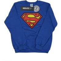 DC Comics - Sweatshirt für Herren (Königsblau)