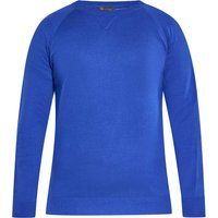 Herren Strickpullover mit Rundhalsausschnitt