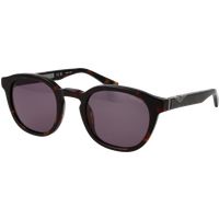 Runde Panto Schildpatt Sonnenbrille