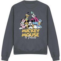 Disney - Sweatshirt für Herren/Damen Unisex (Holzkohle)