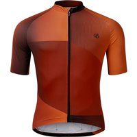 Dare 2B - Radfahr-Trikot für Herren (Arabische Gewürze)