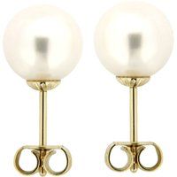 Perlenohrstecker in Gold