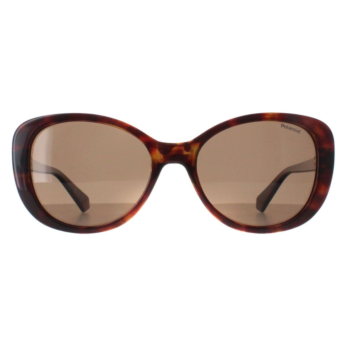 Damen Butterfly Sonnenbrille Havana Bronze