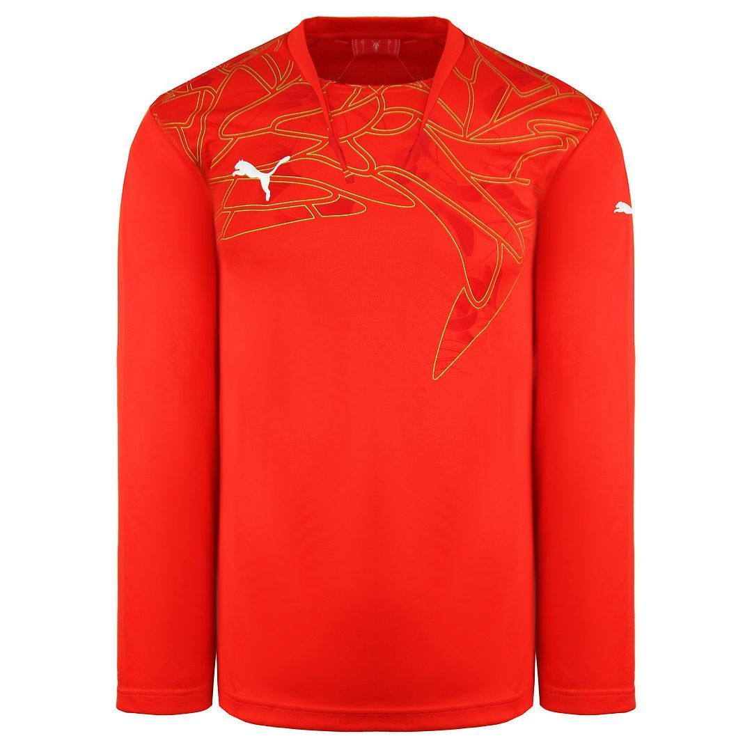 Herren Langarm Torwart Trikot