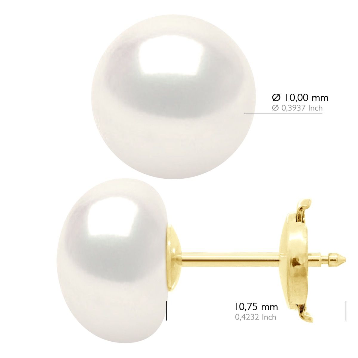 Süßwasserperlen-Ohrstecker aus Gelbgold