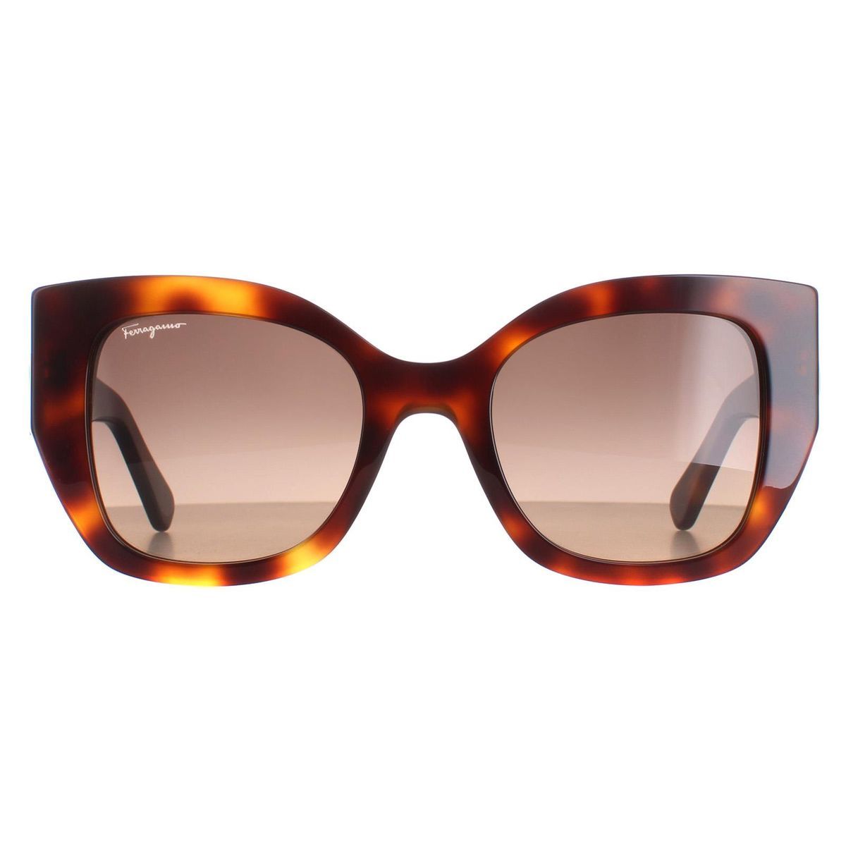 Klassische quadratische Schildpatt-Sonnenbrille