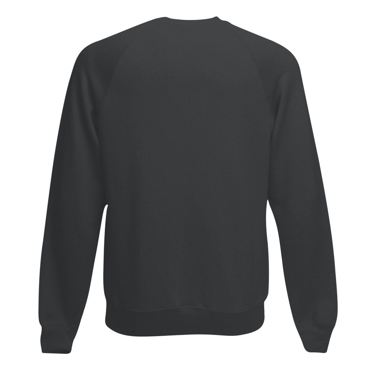 Raglan-Sweatshirt mit Rundhalsausschnitt