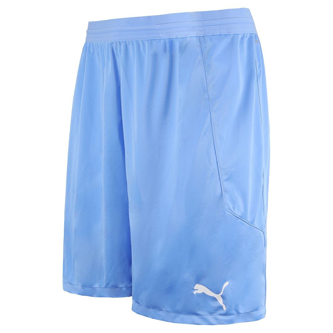 Performance Stretch Trainings-Shorts