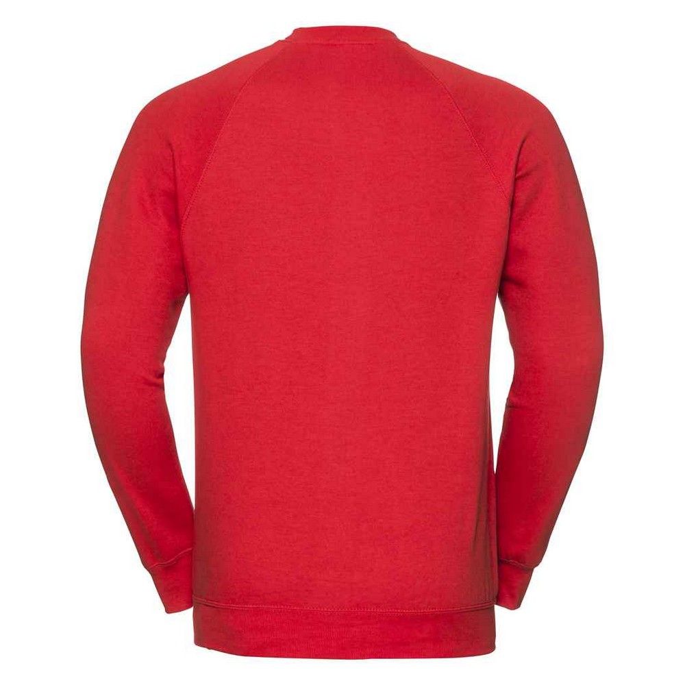 Raglan-Sweatshirt mit Rundhalsausschnitt