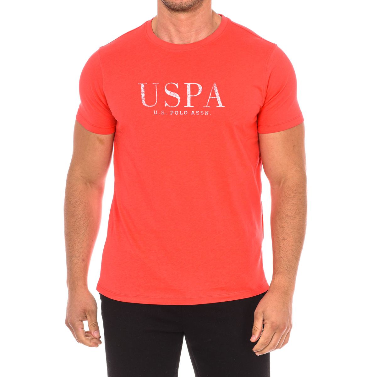 Klassisches Baumwoll-T-Shirt mit Logo-Print