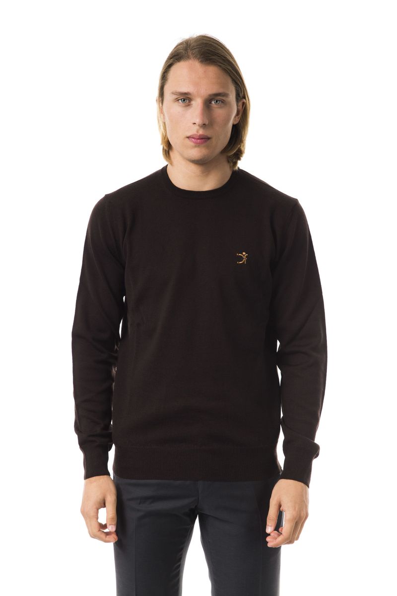 Herren Merino Wollpullover mit V-Ausschnitt