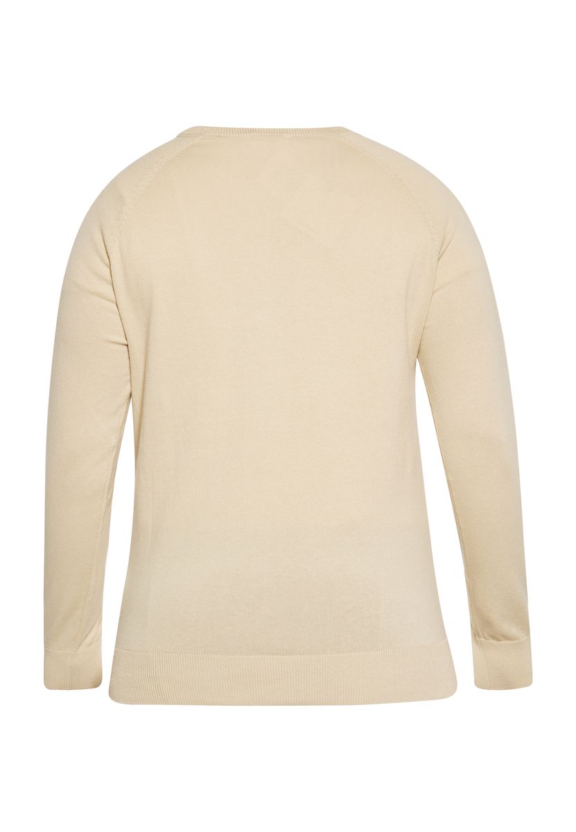 Klassischer Raglan-Strickpullover