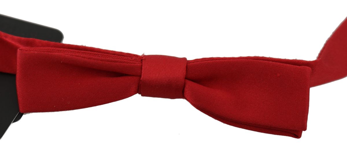 Elegante Seidenfliege