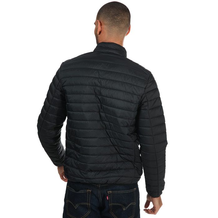 Leichte gesteppte Stehkragenjacke