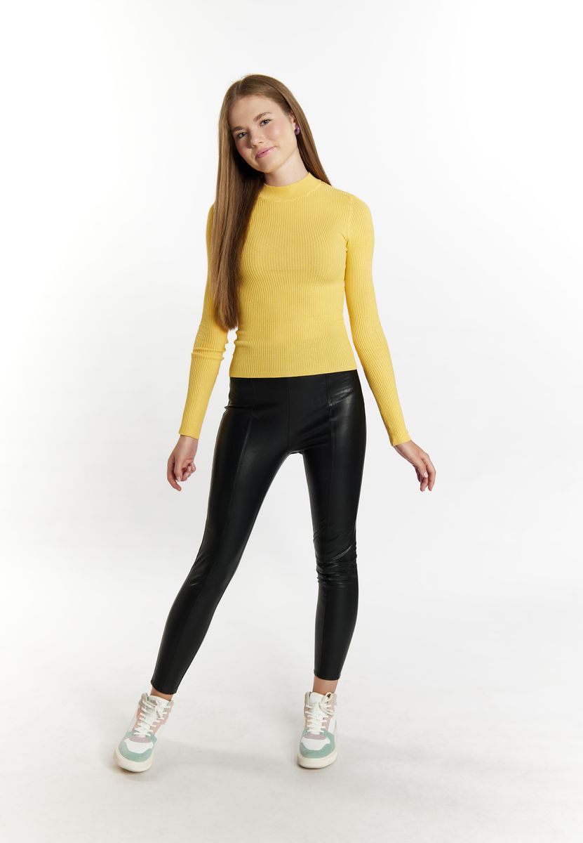 Rippstrick-Pullover mit Stehkragen
