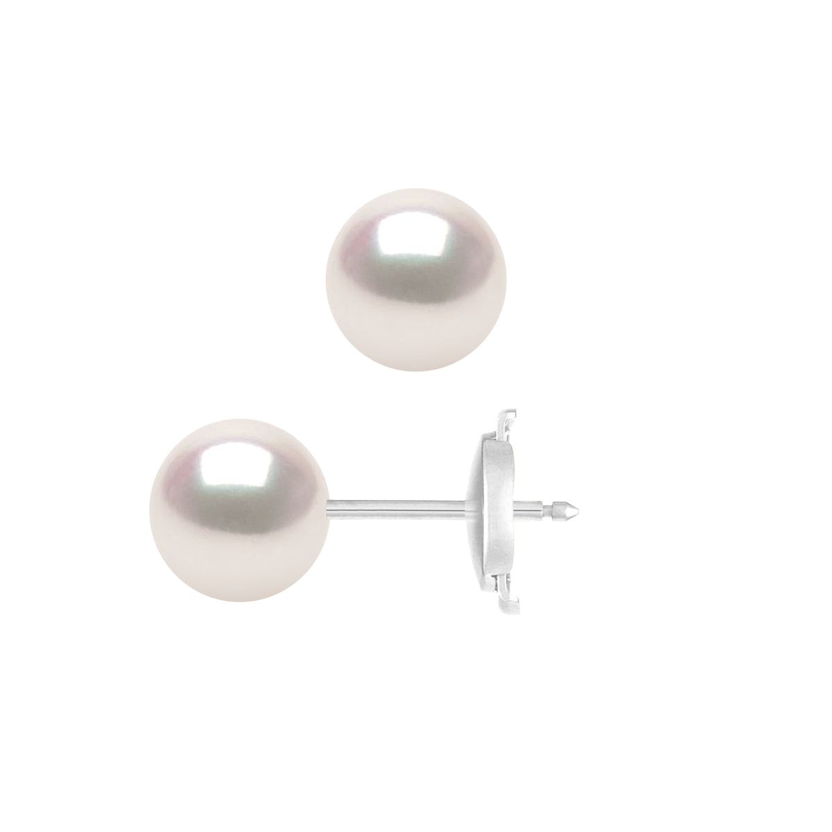 Akoya Perlenohrstecker