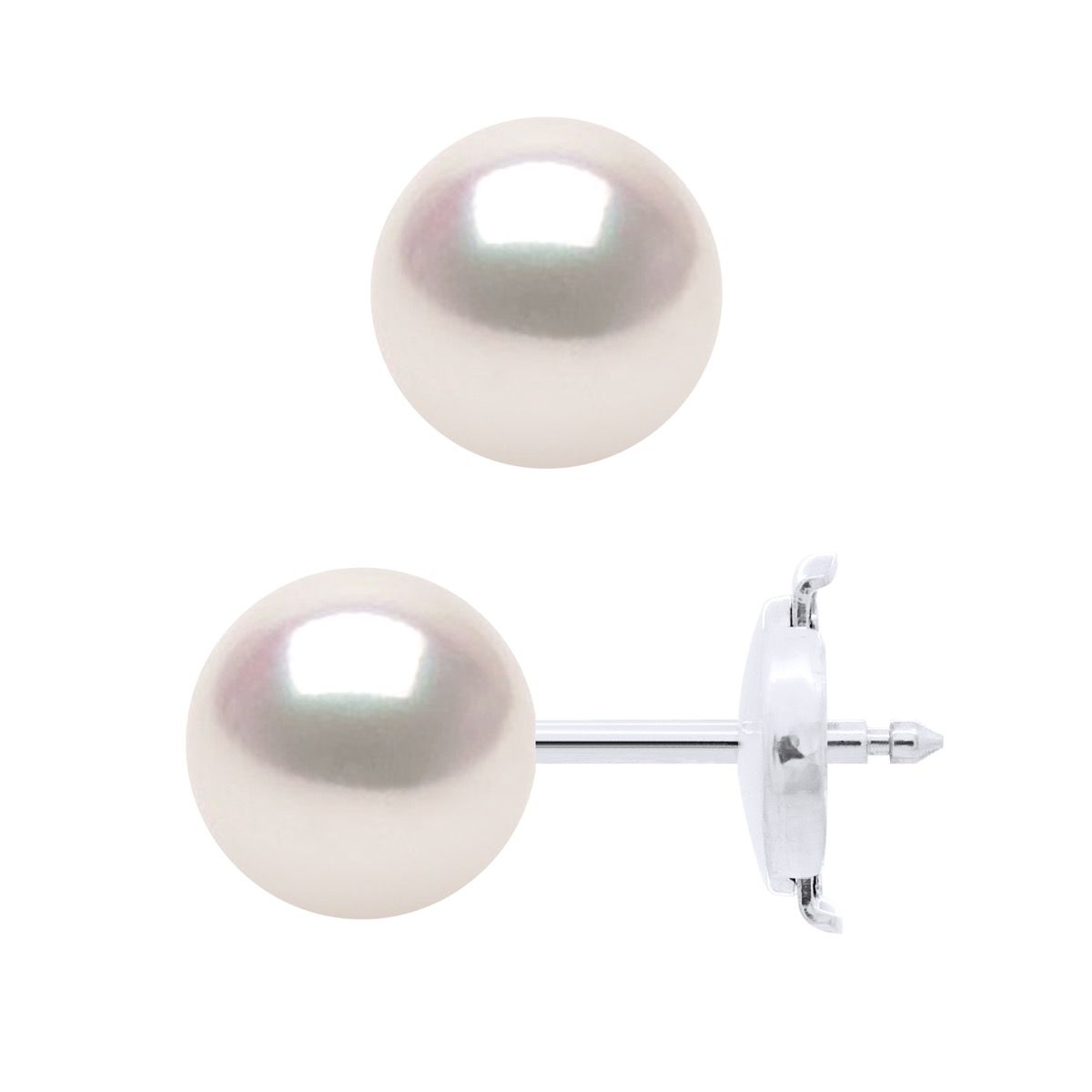 Akoya Perlenohrstecker