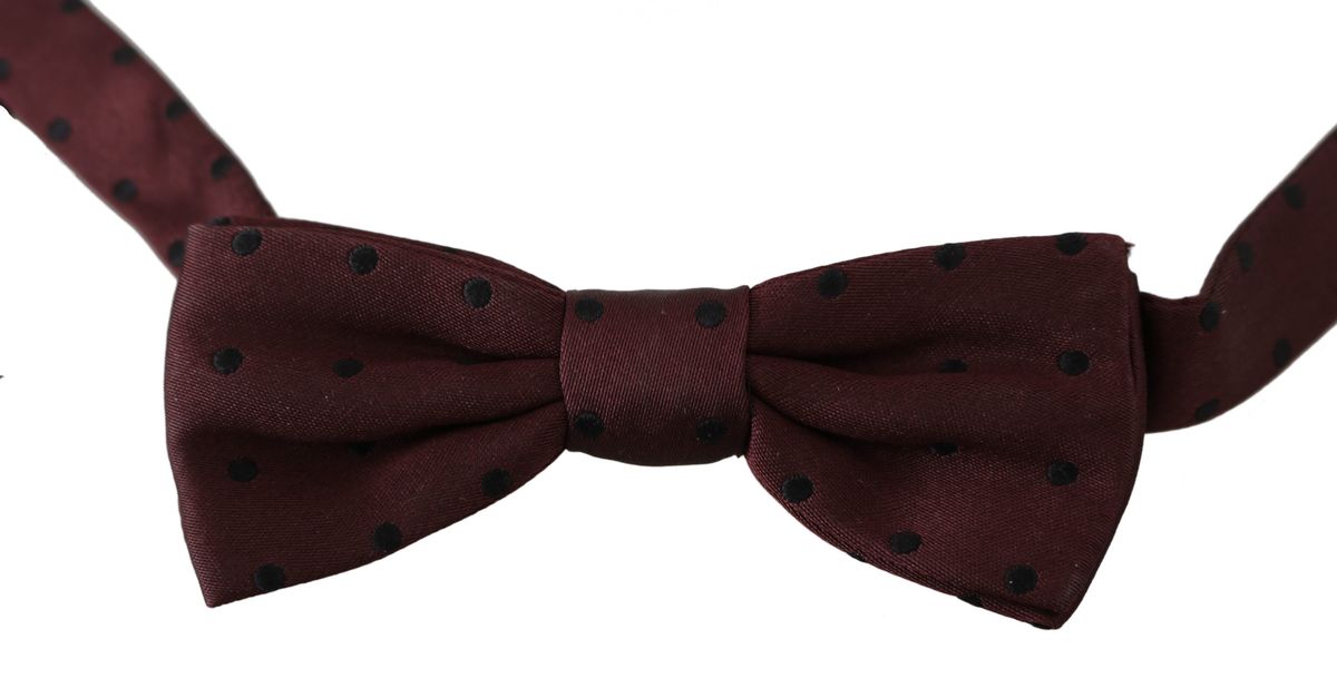 Elegante gepunktete Seidenfliege