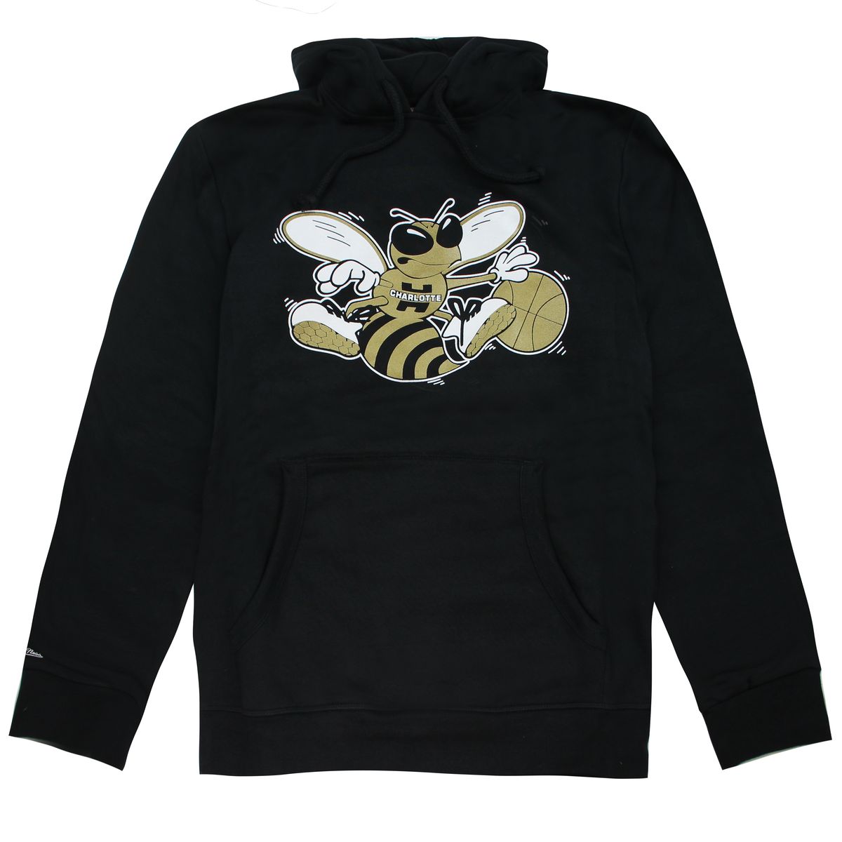 Herren Charlotte Hornets Grafik-Hoodie